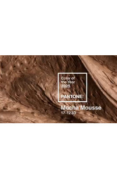 Насичений, теплий коричневий - Pantone представив колір року 2025