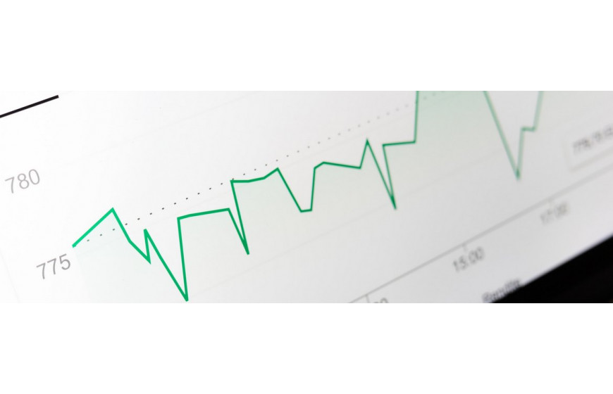 Річний фінансовий звіт Manroland Sheedfed за 2019 рік